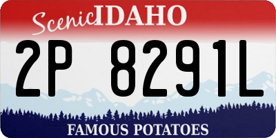 ID license plate 2P8291L