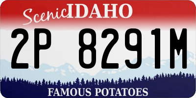 ID license plate 2P8291M