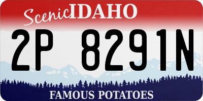 ID license plate 2P8291N