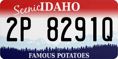 ID license plate 2P8291Q