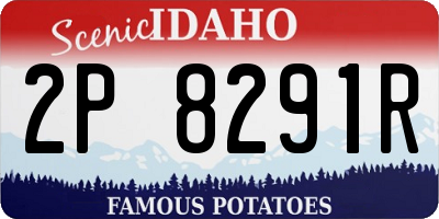ID license plate 2P8291R