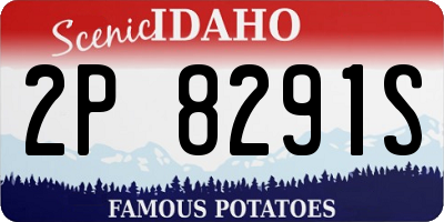 ID license plate 2P8291S