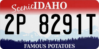 ID license plate 2P8291T
