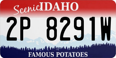 ID license plate 2P8291W