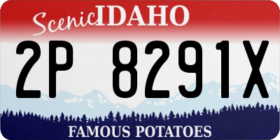 ID license plate 2P8291X