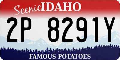 ID license plate 2P8291Y