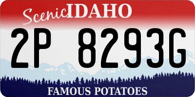 ID license plate 2P8293G
