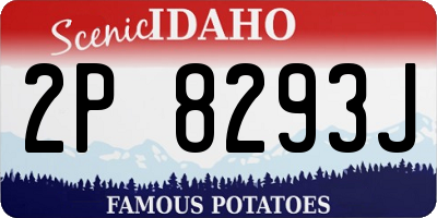 ID license plate 2P8293J