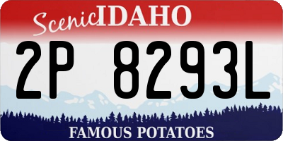 ID license plate 2P8293L