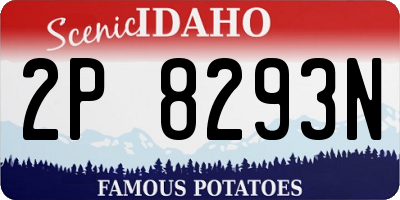ID license plate 2P8293N