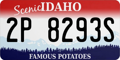 ID license plate 2P8293S