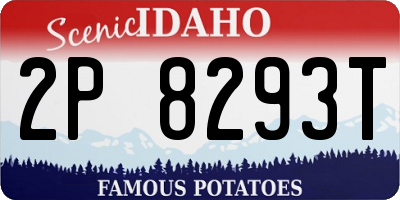 ID license plate 2P8293T