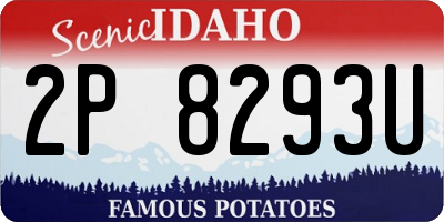 ID license plate 2P8293U