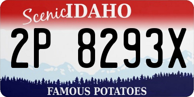 ID license plate 2P8293X