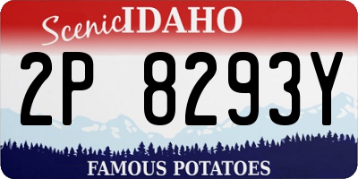 ID license plate 2P8293Y