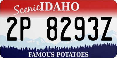 ID license plate 2P8293Z