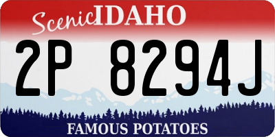 ID license plate 2P8294J
