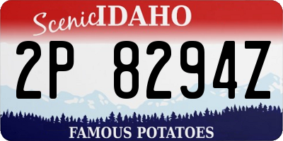 ID license plate 2P8294Z