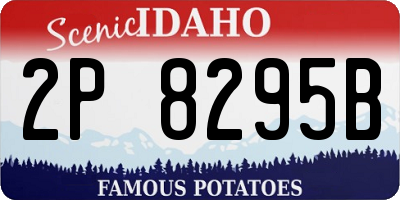ID license plate 2P8295B