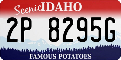ID license plate 2P8295G