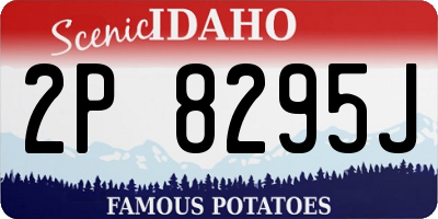 ID license plate 2P8295J