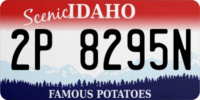 ID license plate 2P8295N