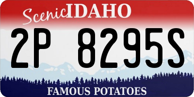 ID license plate 2P8295S