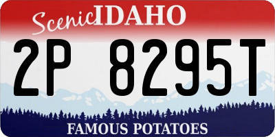 ID license plate 2P8295T