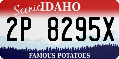 ID license plate 2P8295X