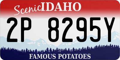 ID license plate 2P8295Y