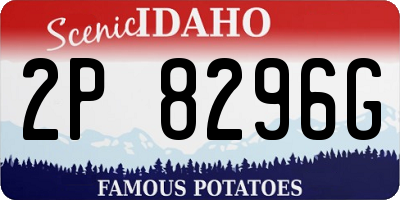 ID license plate 2P8296G