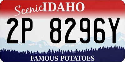 ID license plate 2P8296Y
