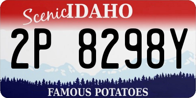 ID license plate 2P8298Y