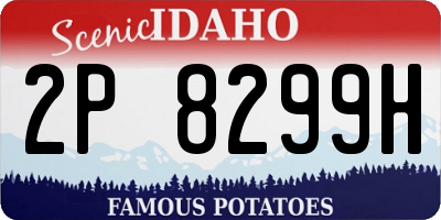 ID license plate 2P8299H