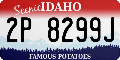 ID license plate 2P8299J