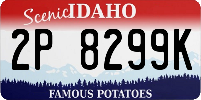 ID license plate 2P8299K