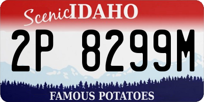 ID license plate 2P8299M