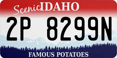 ID license plate 2P8299N