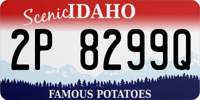 ID license plate 2P8299Q