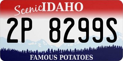 ID license plate 2P8299S