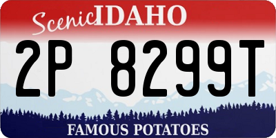 ID license plate 2P8299T