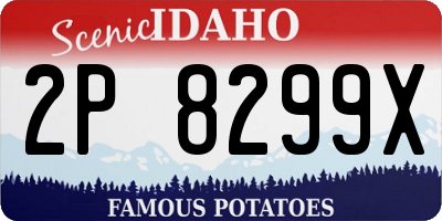 ID license plate 2P8299X