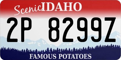 ID license plate 2P8299Z