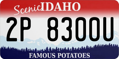 ID license plate 2P8300U