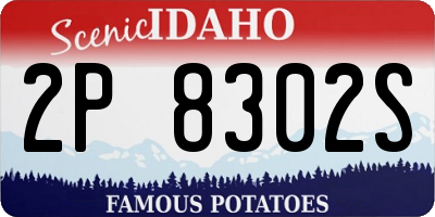 ID license plate 2P8302S