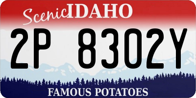 ID license plate 2P8302Y