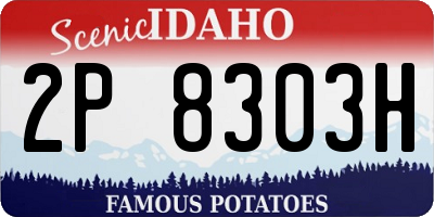 ID license plate 2P8303H