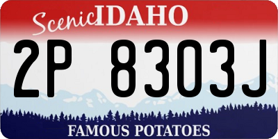ID license plate 2P8303J