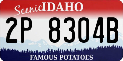 ID license plate 2P8304B