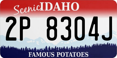 ID license plate 2P8304J